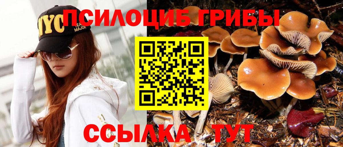 Псилоцибиновые грибы Magic Shrooms  Псилоцибиновые грибы мицелий  Вход с VPN  Шуя 