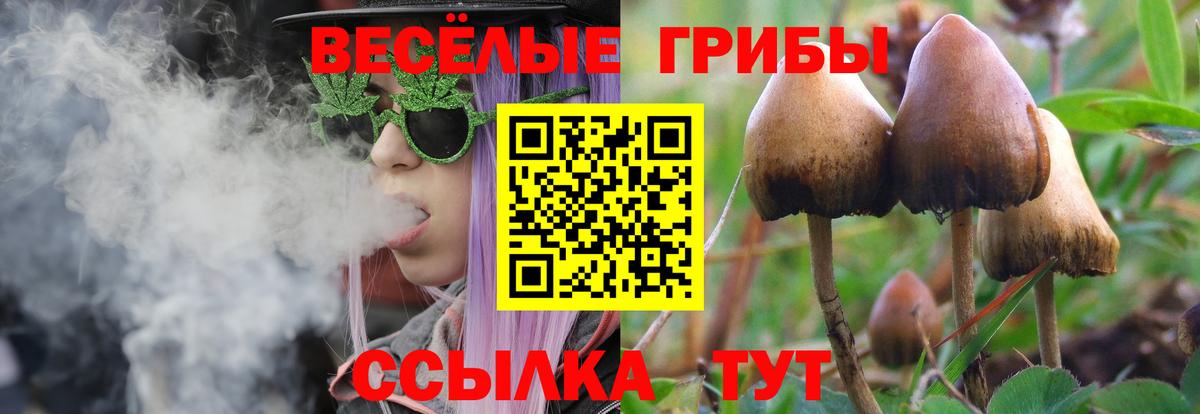 Галлюциногенные грибы Magic Shrooms Шуя